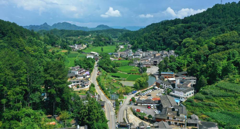 乡村振兴中的美好“黔”景